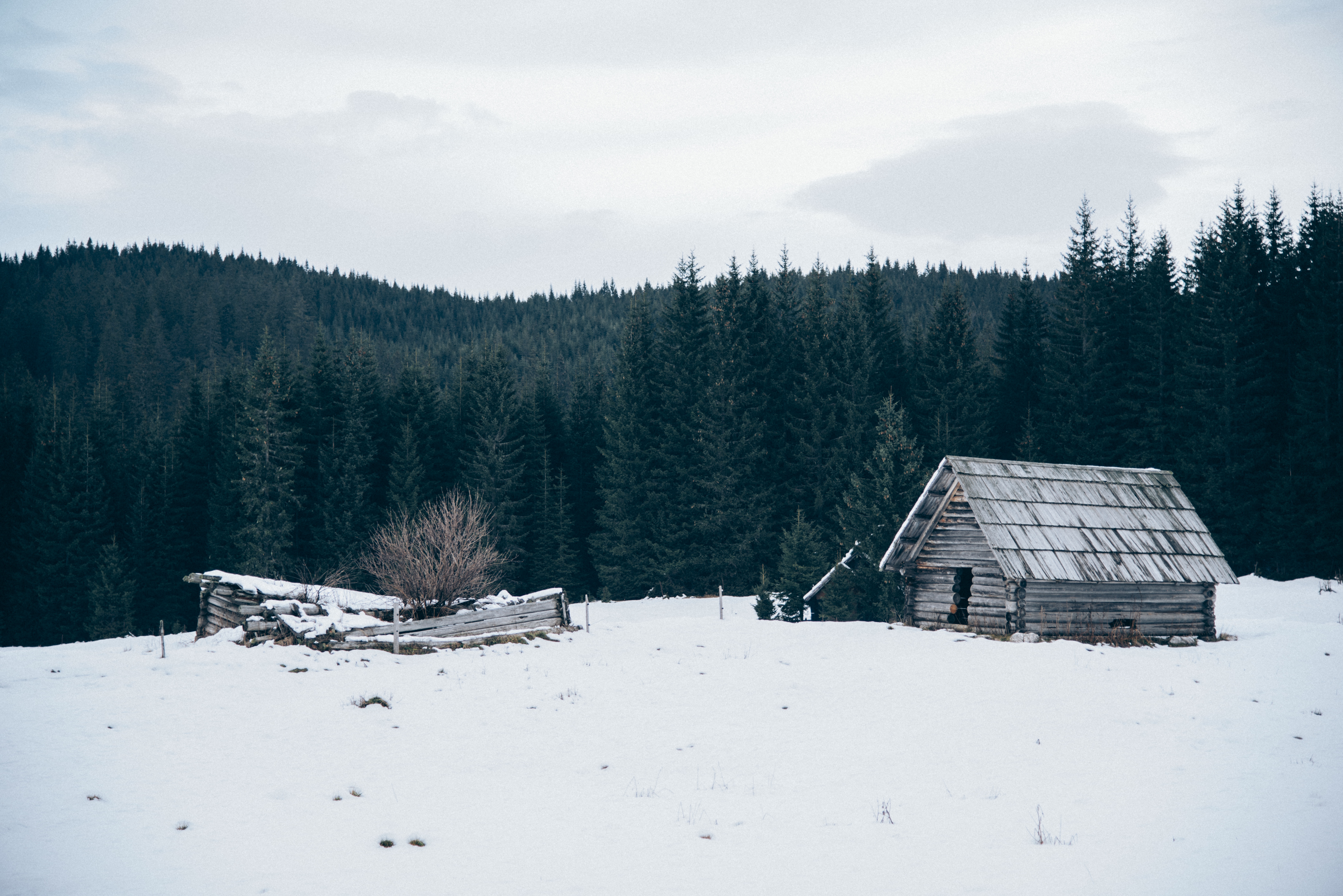 A Song of Joy & Sadness on The First Christmas