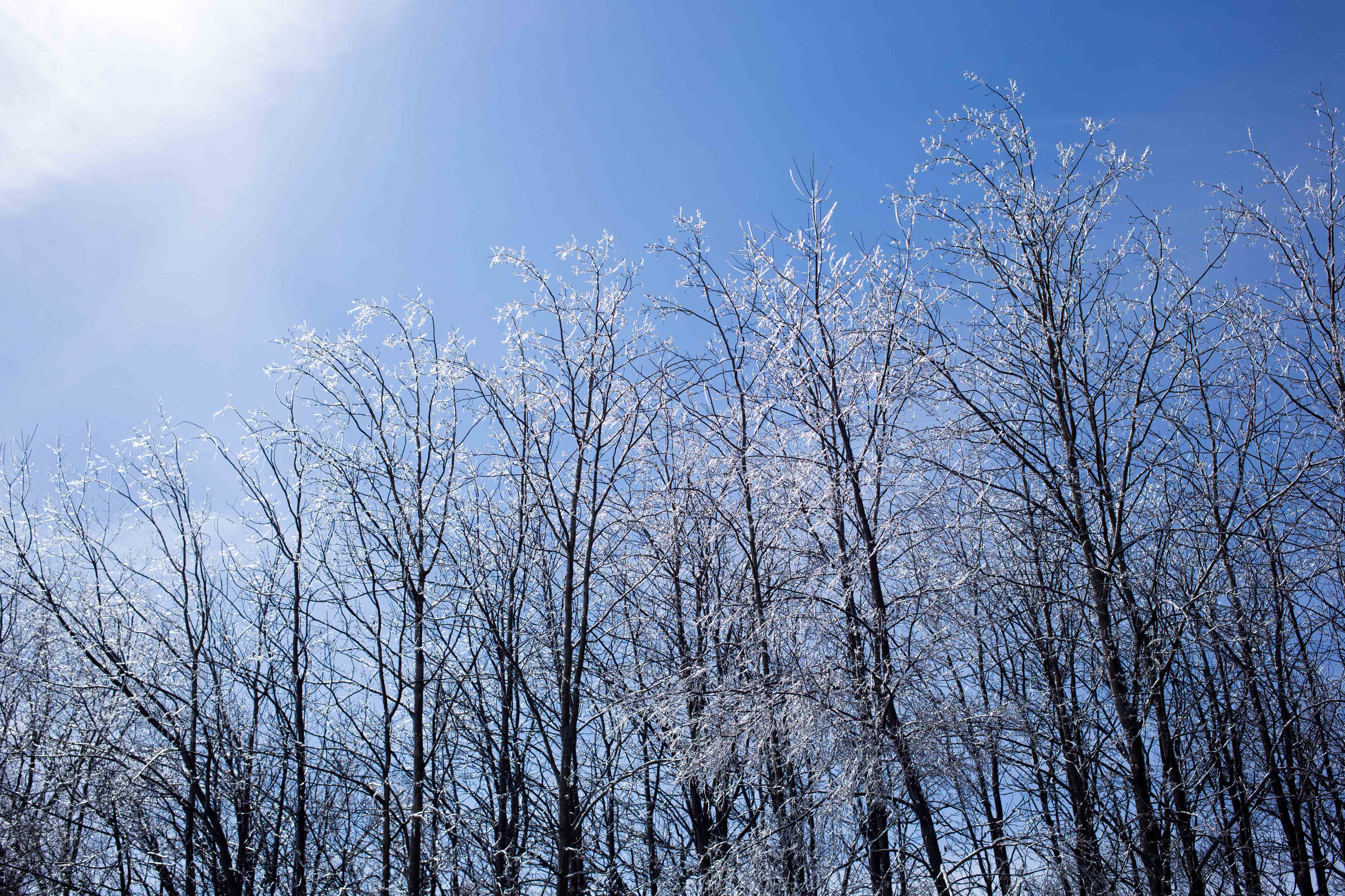 50 Hikes in Wisconsin: Hike #36 – Cherokee Marsh